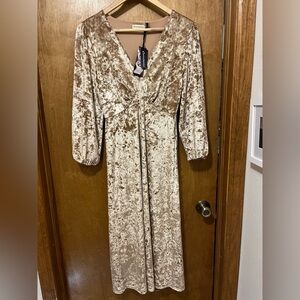 Elegant Velvet Dress in Cream